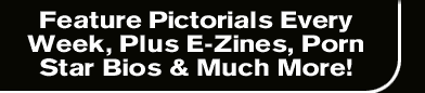 SexIllustrated - Pornstar Bios & E-Zines